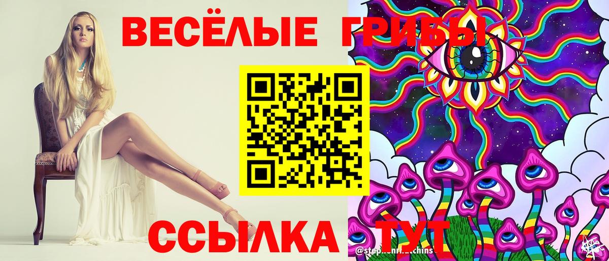 Курчалой  Псилоцибиновые грибы Psilocybine cubensis  Галлюциногенные грибы мицелий  Вход с VPN 